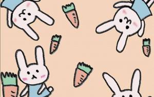 らびっと&きゃろっと - Junna