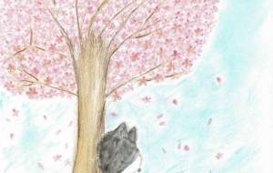 桜の木の下で昼寝をする猫 - かいこ 
