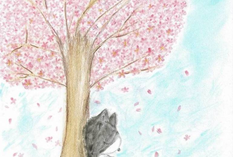 桜の木の下で昼寝をする猫