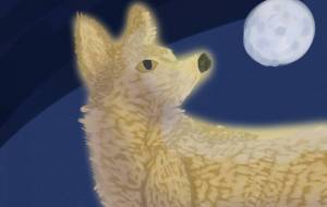 オオカミと月 - 空乃晴