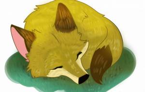 お昼寝キツネ - 空乃晴