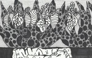 古着を糧に育つカタツバキ - 阿部貴志