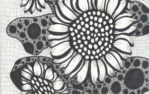 古着を糧に育つ向日葵 - 阿部貴志