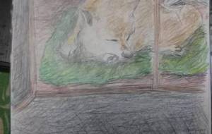 路傍でまどろむカワイイわんこ - 赤川凌我