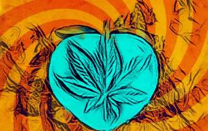 レゲエのリズムで - 水谷裕元