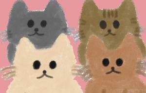 集合写真 - Junna