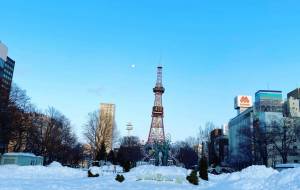 大通り公園 - 笹谷正博