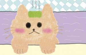 クリーム猫の入浴。 - Junna