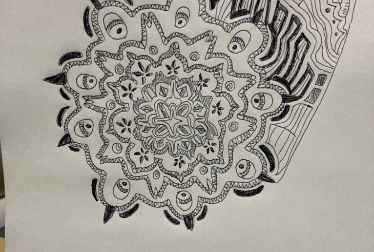 レンコン - 星瑞紅 