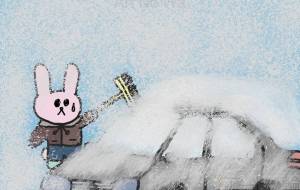 スノーブラシはこれがいい - Junna