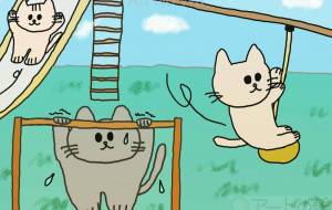 公園デビューした猫 - Junna