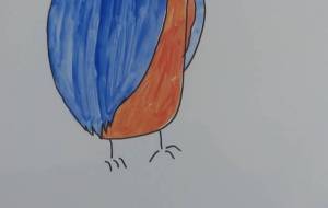 PILOT(カラーボード) - ピロット