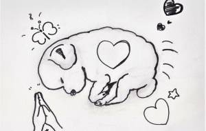 いのり - ありす