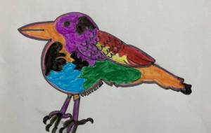 色をかえたカラス - ひかり