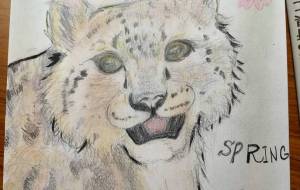 Congratulation - 柏原ゆか