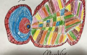 カナコリ - 笹谷正博