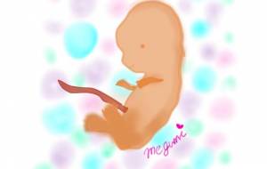 ふわふわ夢見る胎児 - ミューズめぐみ