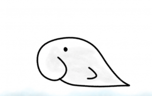 きんとんうんのシロイルカ - しずく