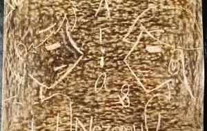 気弱なサラリーマンとポニーテール少女 - Aria(アリア)