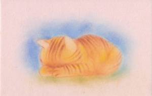 ごめんなさいしながら寝る猫 - Cano