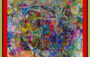 しょも蜘蛛の巣 - しょも