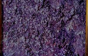 さくら - 久保田 俊