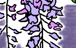 藤の花 - なごしょー