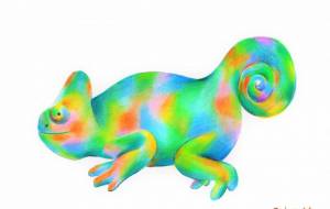 カメレオン - 田寺 誠人