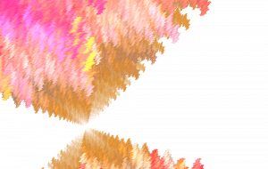 春の森の合わせ鏡 - 太陽