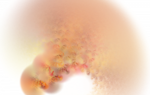 タンポポさんの姿 - 太陽