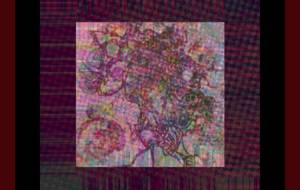 和の華 - しょも