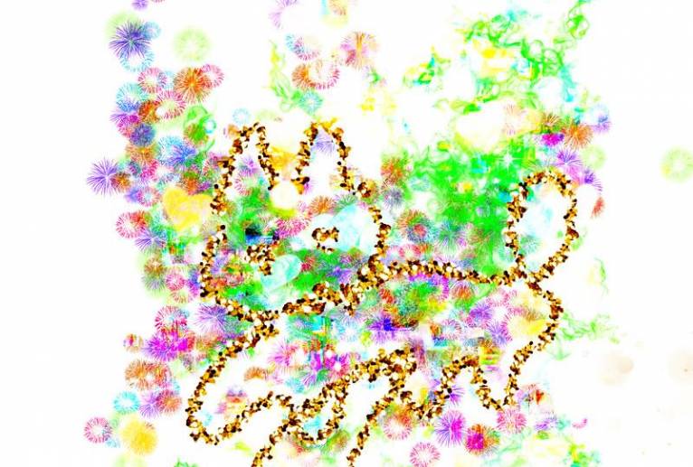 うさぎ - うっち 