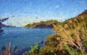 奄美の風景8 - みぎい@