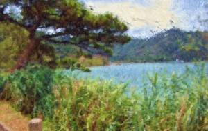 奄美の風景10 - みぎい@