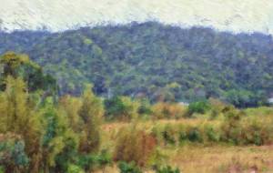 奄美の風景23 - みぎい@