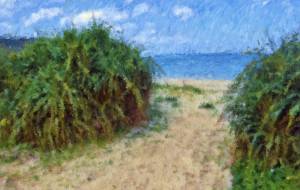 奄美の風景30 - みぎい@