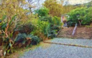 奄美の風景33 - みぎい@