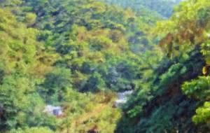 奄美の風景35 - みぎい@