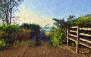 奄美の風景37 - みぎい@