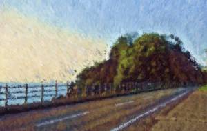 奄美の風景41 - みぎい@