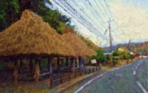 奄美の風景46 - みぎい@