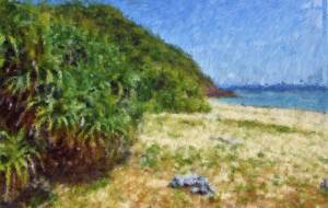 奄美の風景52 - みぎい@