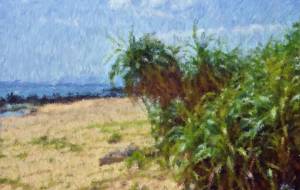 奄美の風景54 - みぎい@