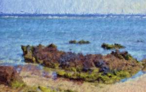 奄美の風景57 - みぎい@