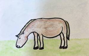 寒立馬 - 水谷裕子