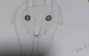 うさぎさん - angel