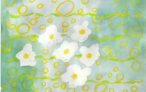 ゆらゆら梅花藻 - 工房はんど toki