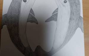 仲良しイルカ - angel