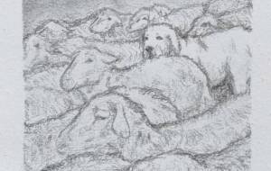 おっちょこちょい - おおた まめ