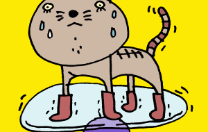 バランスをとる猫 - 空叶論